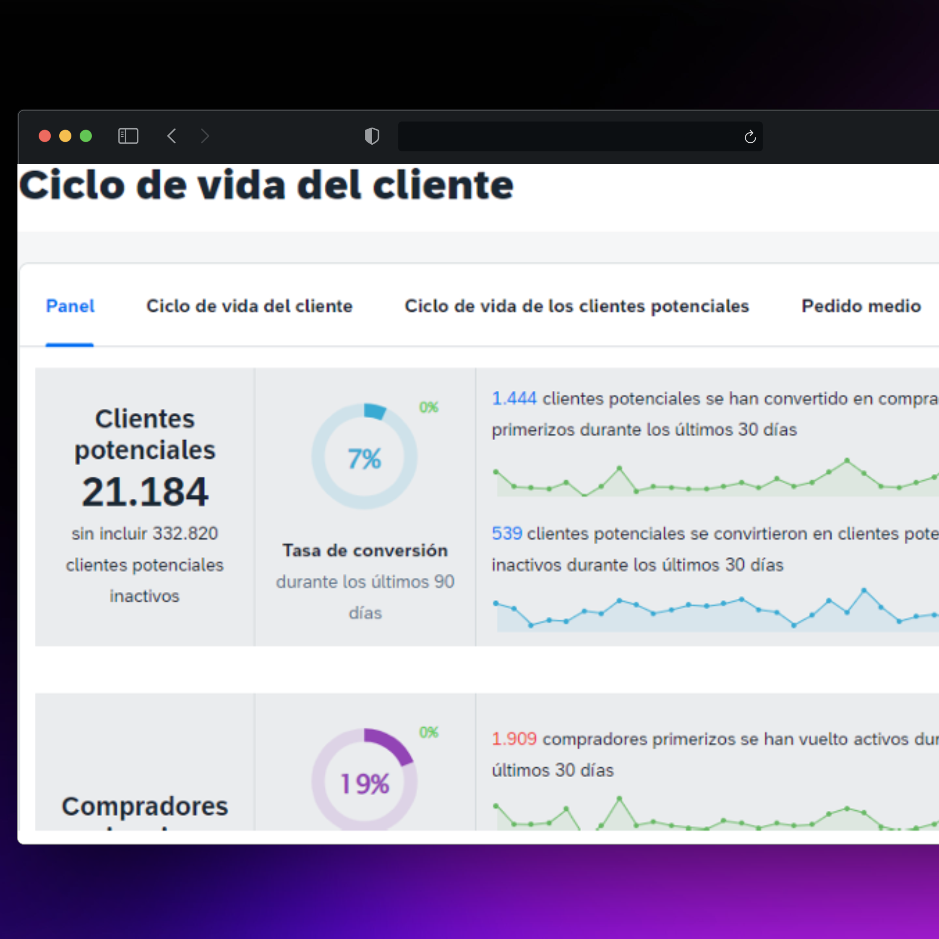 Consultoría & Automatización de Campañas